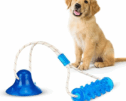 Interactive Dog Toy