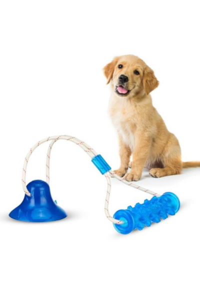 Interactive Dog Toy