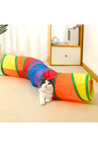 Interactive cat toys