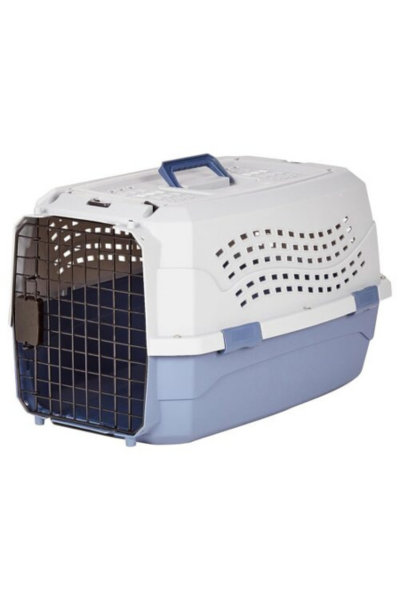 Portable ragdoll house cat