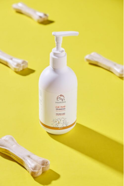 best dog shampoo
