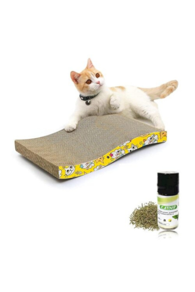 cat playing toys