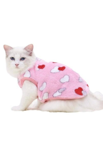 cat tee shirts