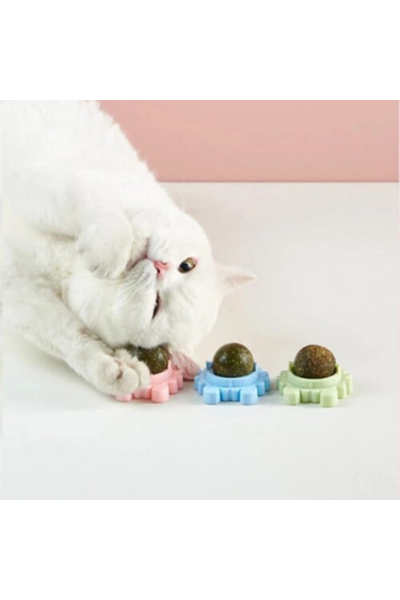 catnip for cats