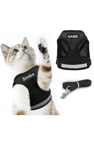 cats and harnesses with Leash Belt Combo