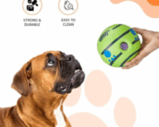 dog ball launcher
