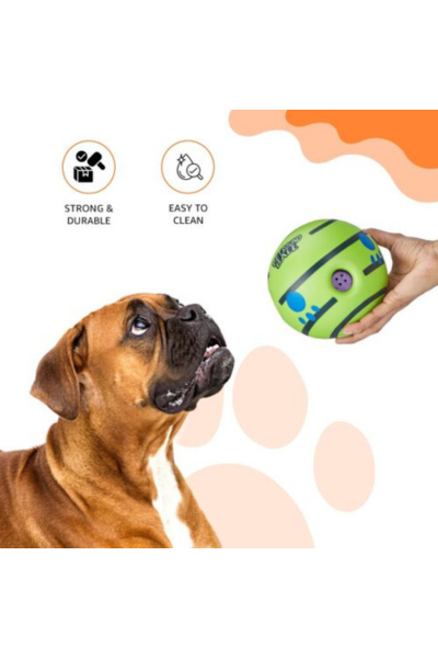dog ball launcher