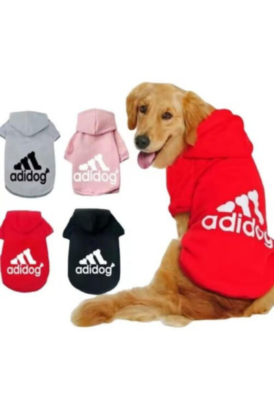 dog jackets for winter