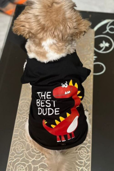 dog with a hoodie