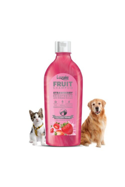 dry shampoo for dogs