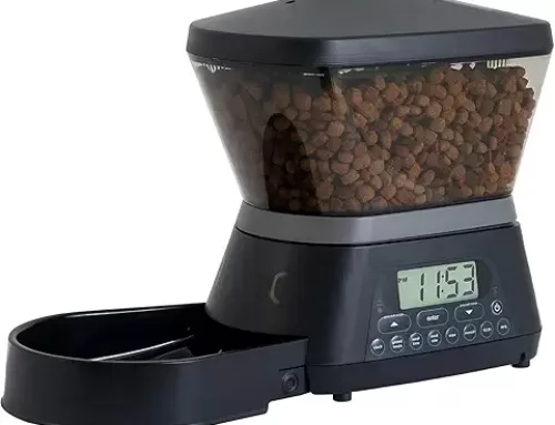 How a Cat Automatic Feeder Makes Feeding Stress-Free