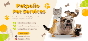 Best Pet services