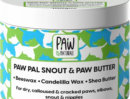 Why Foot Balm for Dog: A Complete Guide to Protecting Your Pet’s Paws